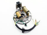 2-Coil Magneto Stator for 70 cc 90CC 110 cc 125cc Kick Start Dirt Pit Bike SSR Coolster Roketa - ChinesePartsPro