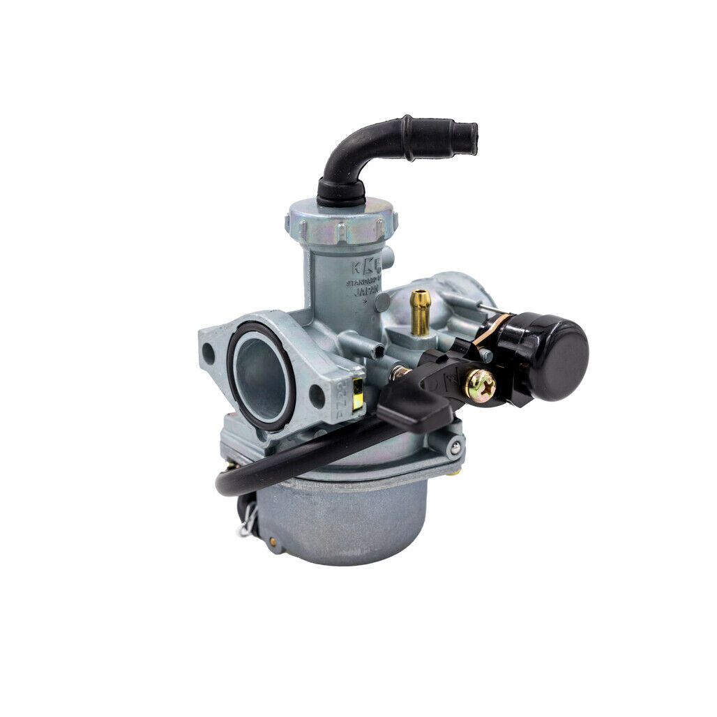 PZ22 CARBURETOR FOR TAO TAO (125cc NEW CHEETAH, NEW TFORCE) *OEM