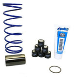 POLINI VARIATOR KIT FOR GY6 150cc