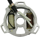 STATOR ASSEMBLY 2-COIL FOR 50cc 2-STROKE 1DE41QMB ENGINES
