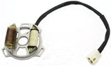 STATOR ASSEMBLY 2-COIL FOR 50cc 2-STROKE 1DE41QMB ENGINES
