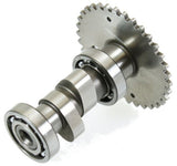 HOCA A10 PERFORMANCE CAMSHAFT FOR GY6 150cc - 232cc MOTORS