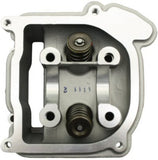SSP-G 52mm BIG BORE RACING HEAD FOR 50cc QMB139 MOTORS