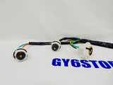 TAO TAO 50cc QMB139 (ATM, PONY, SPEEDY) SCOOTER TAIL LIGHT WIRE HARNESS *OEM*