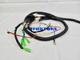 50cc TAO TAO THUNDER / BLADE SCOOTER COMPLETE WIRING HARNESS ASSEMBLY *OEM*