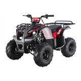 TAO D125(ATA125D) ATV *SMALL TIRE*