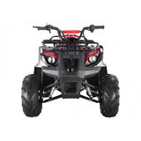 TAO D125(ATA125D) ATV *SMALL TIRE*
