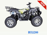 TAO TAO BULL 200 ATV *CHROME WHEELS*
