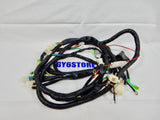 TAOTAO (LANCER 150cc) & (EVO 50cc) SCOOTER COMPLETE WIRING HARNESS *OEM*