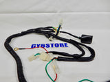 TAOTAO (LANCER 150cc) & (EVO 50cc) SCOOTER COMPLETE WIRING HARNESS *OEM*
