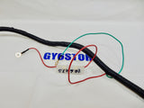 150cc TAOTAO QUANTUM SCOOTER COMPLETE WIRING HARNESS ASSEMBLY *OEM*