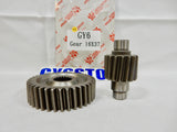 TAIDA SECONDARY PERFORMANCE GEAR SET (17*36) FOR GY6 150cc MOTORS