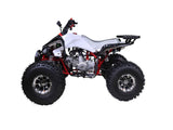 TAO TAO NEW CHEETAH 125 *CHROME WHEELS*