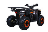 TAO TAO RAPTOR G200 ATV