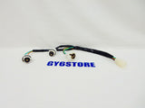 TAO TAO 50cc QMB139 (ATM, PONY, SPEEDY) SCOOTER TAIL LIGHT WIRE HARNESS *OEM*