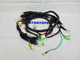 50cc TAO TAO THUNDER / BLADE SCOOTER COMPLETE WIRING HARNESS ASSEMBLY *OEM*