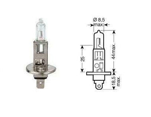 12v 35w , P14.5s ,Headlight Bulb